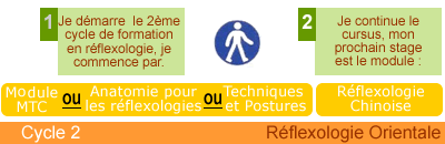 formation reflexologie plantaire